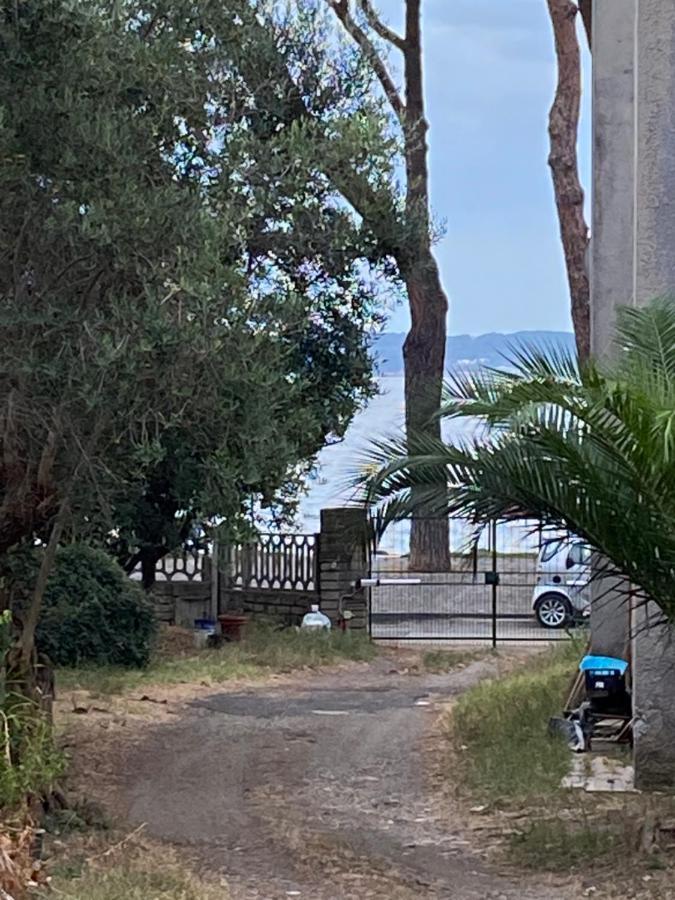 Fringiuli House Lägenhet Trevignano Romano Exteriör bild